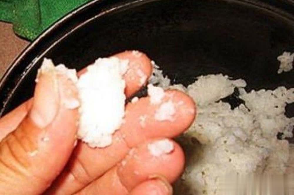 深秋的用饵 深秋的用饵